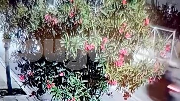 Συνελήφθησαν πέντε βασικοί ύποπτοι για την απόπειρα δολοφονίας του Γιάννη Λάλα