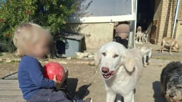 Αύριο το τελευταίο αντίο στον 2χρονο που τον σκότωσε το πίτμπουλ της οικογένειας