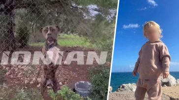 Αύριο το τελευταίο αντίο στο 2χρονο που του επιτέθηκε ο σκύλος της οικογένειας