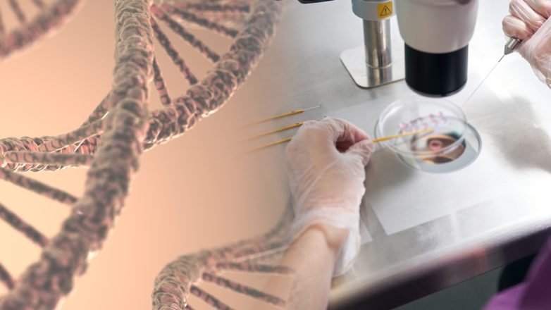 Σε 7 κλινικές στην Ελλάδα το σπέρμα του Δανού δότη με το «γονίδιο του καρκίνου» Σε 7 κλινικές στην Ελλάδα το σπέρμα του Δανού δότη με το «γονίδιο του καρκίνου»