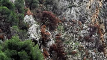 Σίκινος: Εντοπίστηκε ανθρώπινος σκελετός μίας εκ των δύο Γαλλίδων που αγνοούνταν από το καλοκαίρι του 2024