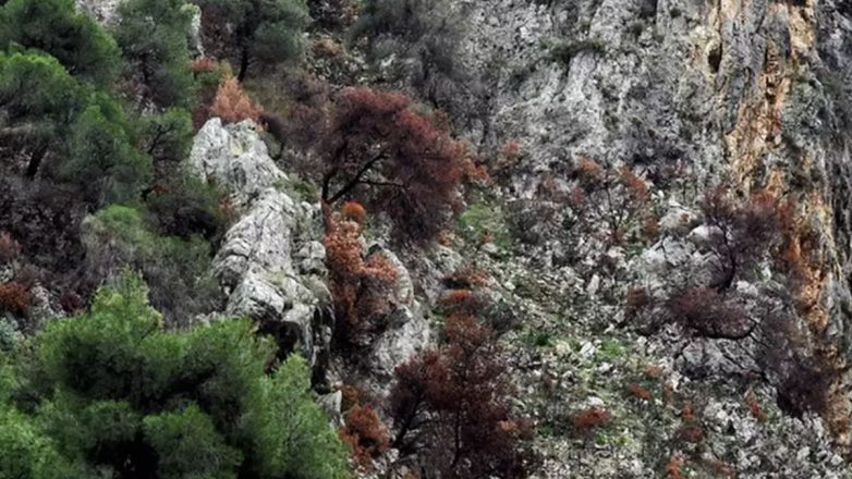 Σίκινος: Εντοπίστηκε ανθρώπινος σκελετός μίας εκ των δύο Γαλλίδων που αγνοούνταν από το καλοκαίρι του 2024