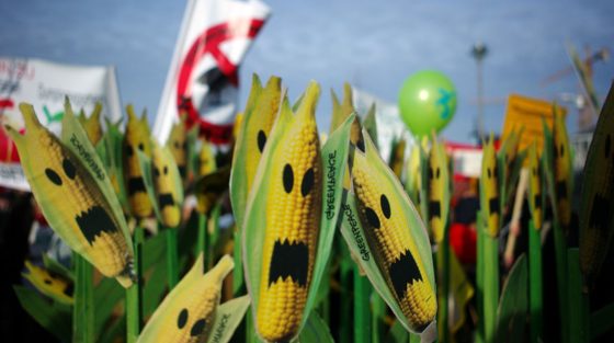 Η Greenpeace καλεί τον Τσιάρα να ψηφίσει κατά των μεταλλαγμένων