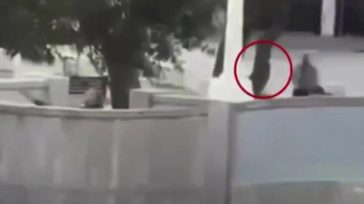 Βίντεο με τον αστυνομικό που πυροβολεί και σκοτώνει έναν από τους τρομοκράτες στο Σίδνεϊ