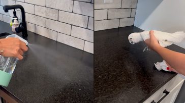 Παπαγάλος μιμείται έναν ψεκαστήρα