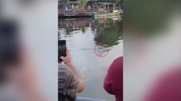 Ινδονησία: Κροκόδειλος κατασπάραξε 10χρονο παιδί την ώρα που κολυμπούσε