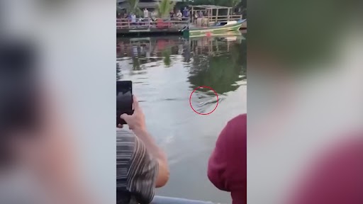 Ινδονησία: Κροκόδειλος κατασπάραξε 10χρονο παιδί την ώρα που κολυμπούσε