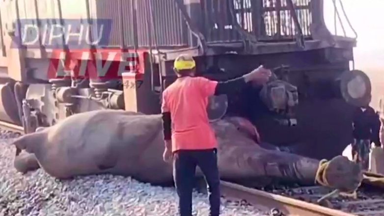 Ινδία: Επτά ελέφαντες σκοτώθηκαν σε σύγκρουση με τρένο Ινδία: Επτά ελέφαντες σκοτώθηκαν σε σύγκρουση με τρένο