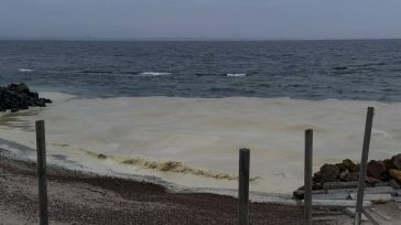 Ουκρανία: Ρύπανση από ηλιέλαιο στη Μαύρη Θάλασσα