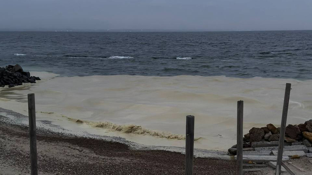 Ουκρανία: Ρύπανση από ηλιέλαιο στη Μαύρη Θάλασσα