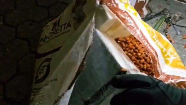 Ιταλία: Είχαν κρύψει 435 κιλά κοκαΐνης μέσα σε φιστίκια