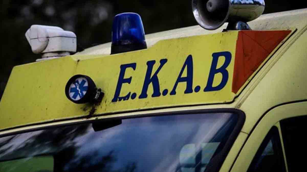 Φθιώτιδα: Της επιτέθηκε σκύλος και της έκοψε δύο δάχτυλα