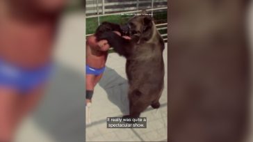 Σκωτία: Η αρκούδα που έγινε μέλος οικογένειας