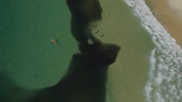 Βραζιλία: Εκατομμύρια αντζούγιες στην παραλία Κοπακαμπάνα