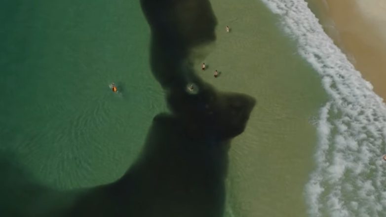 Βραζιλία: Εκατομμύρια αντζούγιες στην παραλία Κοπακαμπάνα