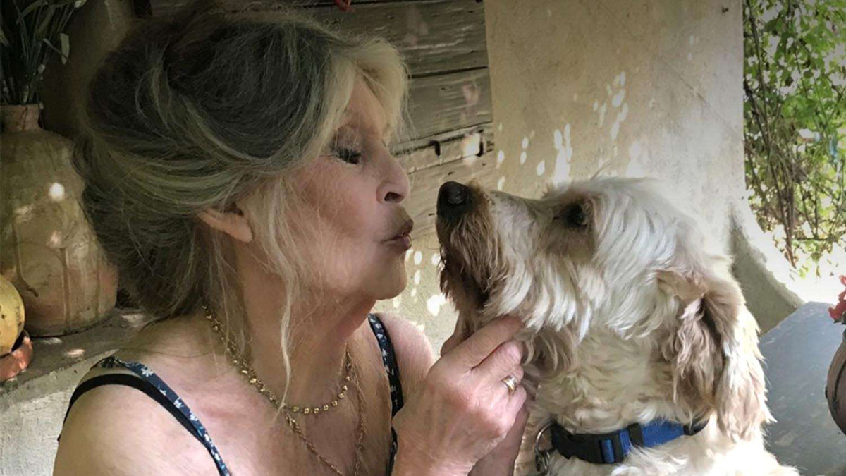 Μπριζίτ Μπαρντό: Αφήνει την περιουσία της στο ζωοφιλικό της ίδρυμα αλλά ο γιος της πρέπει να πάρει τη μισή