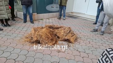 Τρίκαλα: Πέταξαν σανό οι αγρότες στο γραφείο του Σρέκα