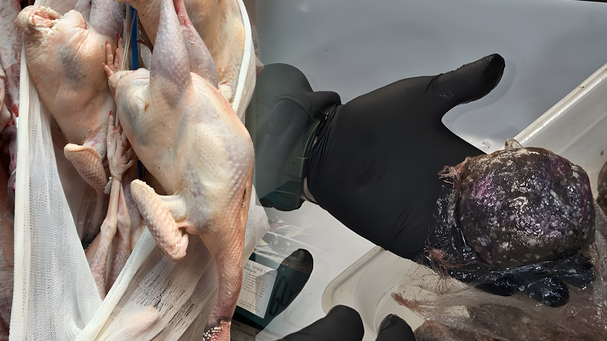 Δώδεκα τόνους με μουχλιασμένα μπιφτέκια και αλλοιωμένες γαλοπούλες θα «έριχναν» στην αγορά