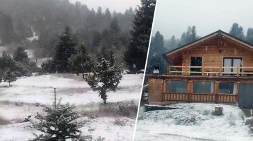 Αναγνώστης της «Ζούγκλας» εύχεται χρόνια πολλά από τη χιονισμένη Γκιώνα