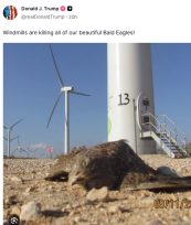 Ο  Τραμπ μπέρδεψε ένα ισραηλινό γεράκι με τον αμερικανικό φαλακρό αετό...