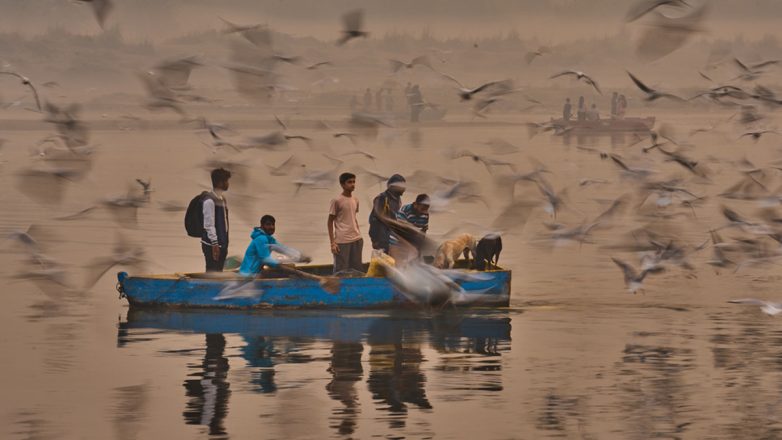 Οι πενήντα καλύτερες φωτογραφίες του 2025