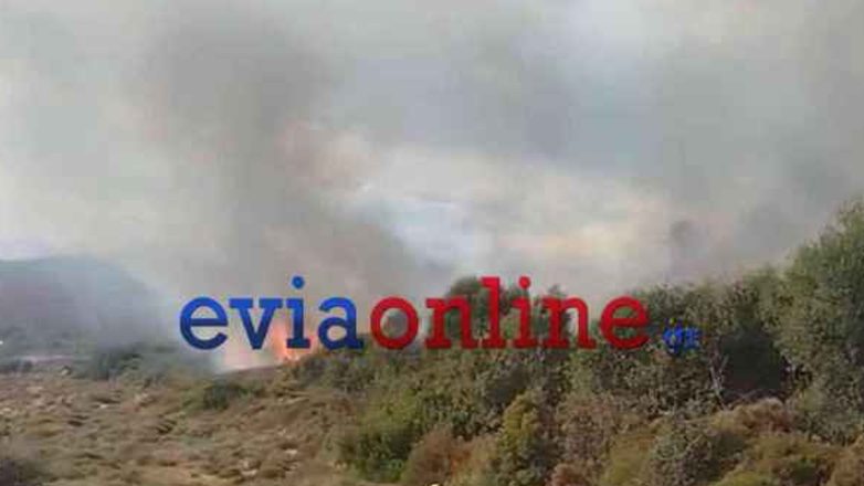 Φωτιά στην Εύβοια – Βίντεο από το σημείο