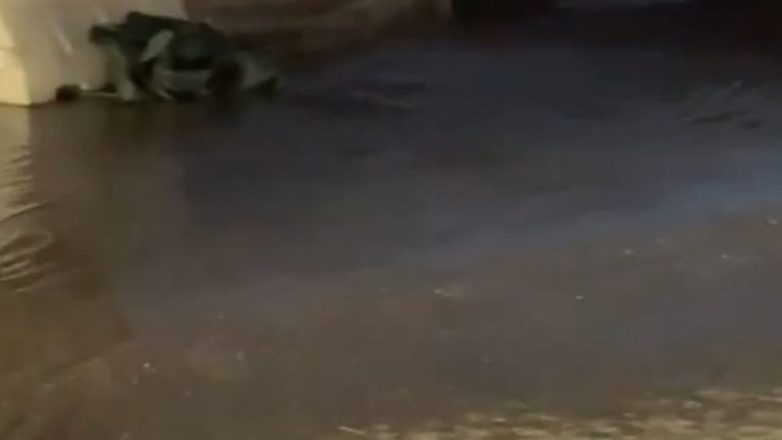 Χανιά: Πλημμύρισαν τα φρεάτια