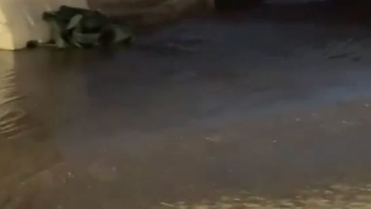 Χανιά: Πλημμύρισαν τα φρεάτια