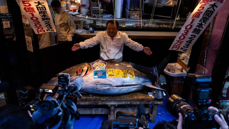 Τόνος έσπασε όλα τα ρεκόρ – Πουλήθηκε 3 εκατ. ευρώ !