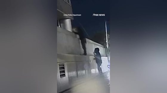 Βίντεο: Εισβολή για πανάκριβες τσάντες σε μπουτίκ