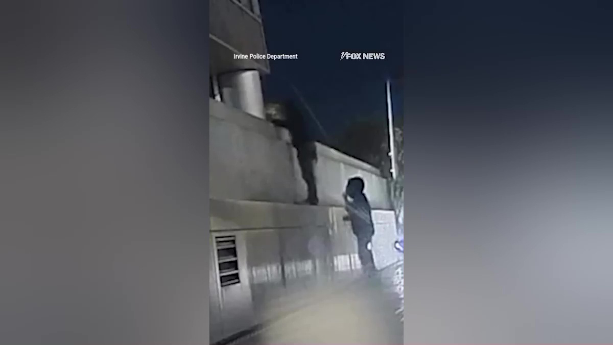 Βίντεο: Εισβολή για πανάκριβες τσάντες σε μπουτίκ