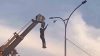 Κρεμάστηκε από γερανό για να σώσει πουλί