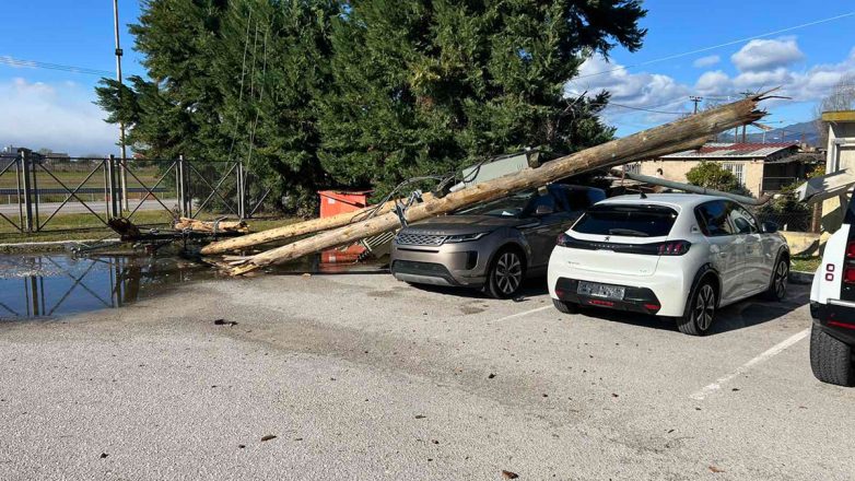 Λαμία: Ζημιές από τους θυελλώδεις ανέμους στη Φθιώτιδα