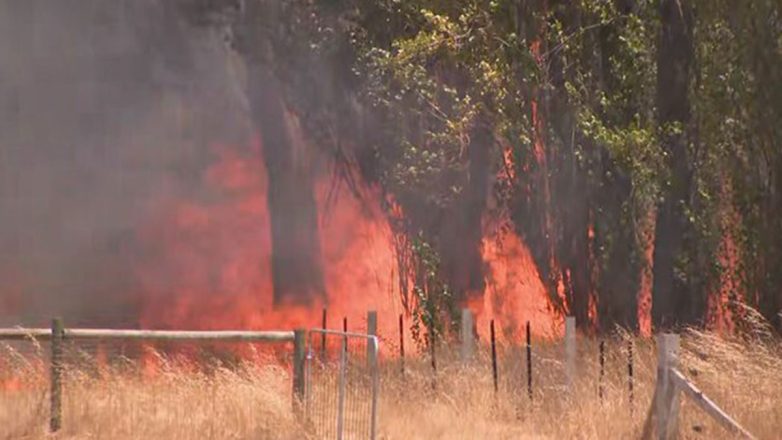 Αυστραλία: Κατάσταση καταστροφής κήρυξε η πολιτεία Βικτόρια