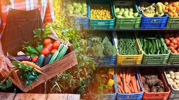 Συμφωνία Ε.Ε.–Mercosur: Νέες εξαγωγικές προοπτικές για τα ελληνικά αγροδιατροφικά προϊόντα