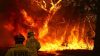 Αυστραλία: Μεγάλες πυρκαγιές κατακαίνε την ήπειρο