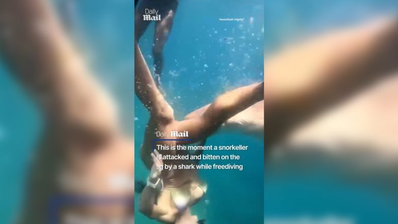 Τρομακτικό βίντεο με καρχαρία να επιτίθεται σε γυναίκα