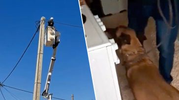 Πάλι …ηλεκτρολόγοι έγιναν οι αστυνομικοί