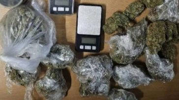 Ρόδος : Εξαρθρώθηκε κύκλωμα καλλιέργειας και διακίνησης κάνναβης