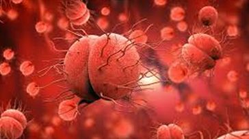 Κρήτη : Γιατρός νοσηλεύεται με βακτηριακή μηνιγγίτιδα