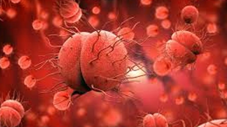 Κρήτη : Γιατρός νοσηλεύεται με βακτηριακή μηνιγγίτιδα