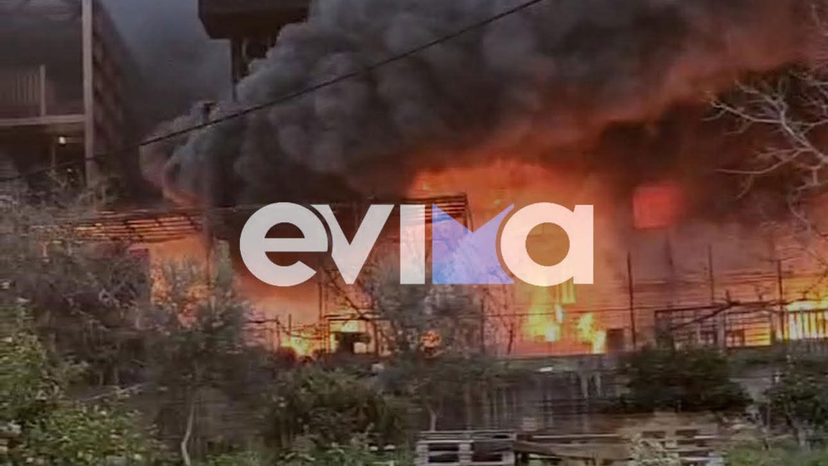 Μεγάλη φωτιά σε σπίτι στη Χαλκίδα