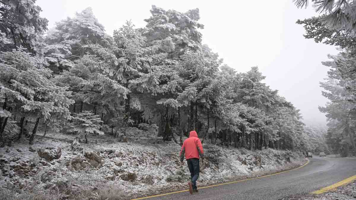 Αρχίζει το παγωμένο 4ήμερο με πτώση θερμοκρασίας και βοριάδες