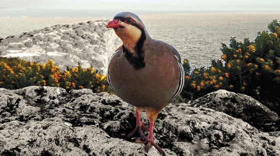 Γλυκιά χαρμολύπη, το καινούργιο βιβλίο της Μάρως Δούκα «Ζήτω η Αγκάθα Κρίστι»