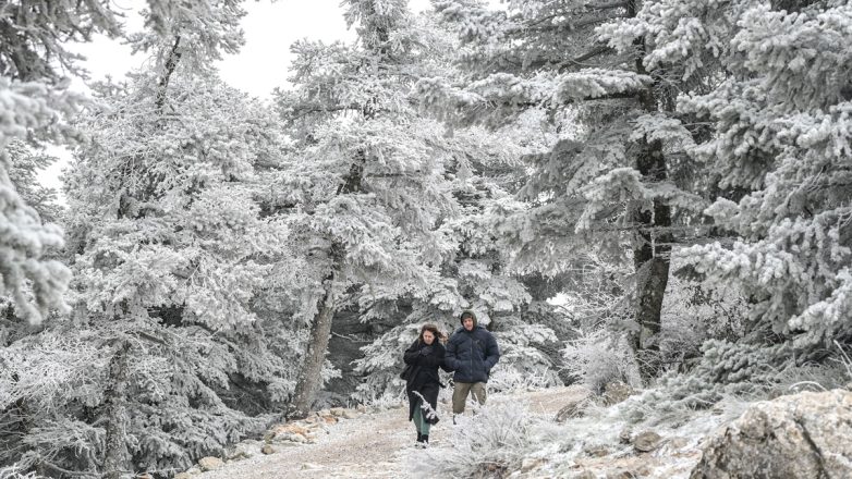 Επέλαση του χιονιά – Στα λευκά «ντύθηκαν» η Φθιώτιδα, το Πήλιο και η Ορεινή Κορινθία