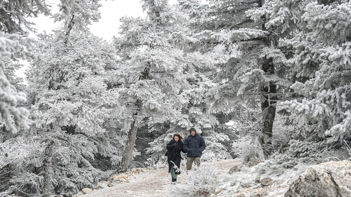 Επέλαση του χιονιά – Στα λευκά «ντύθηκαν» η Φθιώτιδα, το Πήλιο και η Ορεινή Κορινθία
