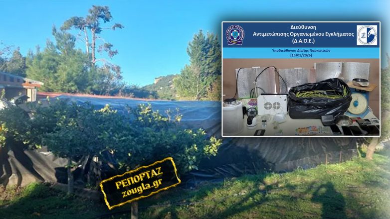 «Μπορείς να μου φτιάξεις είκοσι από το πράσινο;»