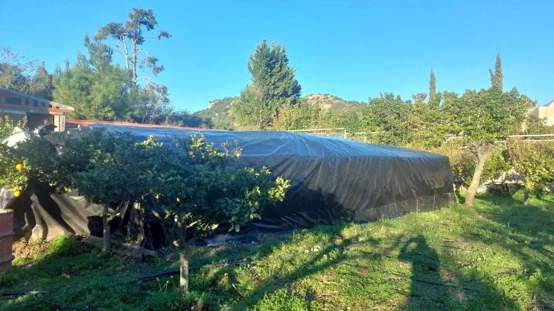 Ρόδος: Προσωρινά κρατούμενοι οι 4 κατηγορούμενοι για την κάνναβη Skunk