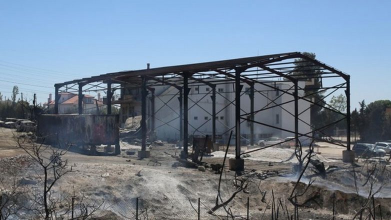 Οι καθαρισμοί οικοπέδων παραμένουν «πονοκέφαλος» για τους ιδιοκτήτες