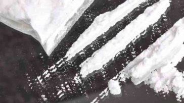 Ρέθυμνο: Εξιχνιάστηκε μεγάλη χασισοφυτεία